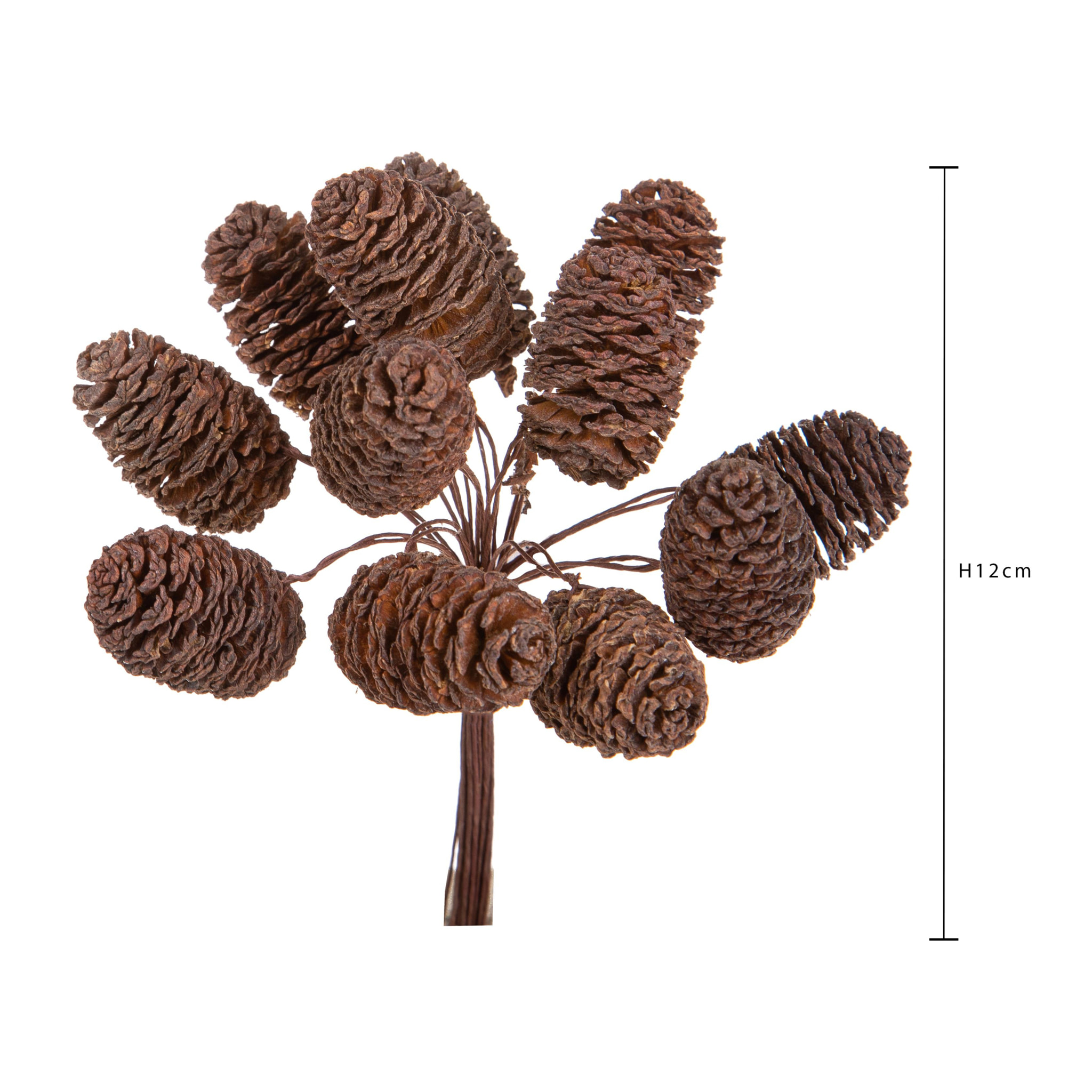 Pick mini pigne cedar - Pezzi 24 - 5xH12x1cm - Bianchi Dino SpA