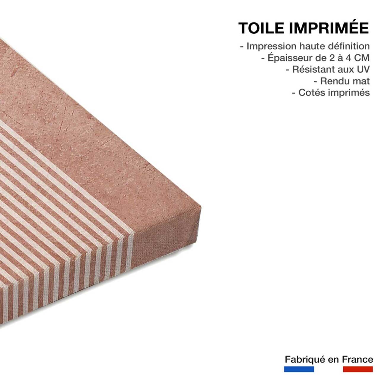 Tableau organique arche rose  Toile imprimée