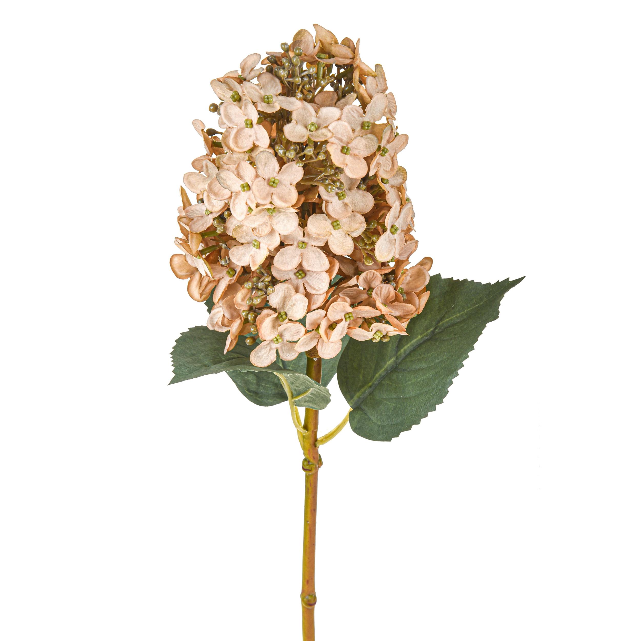 Ortensia Paniculata 52 Cm Romantica - Pezzi 3 - 16X52X16cm - Colore: beige - Bianchi Dino - Ortensia