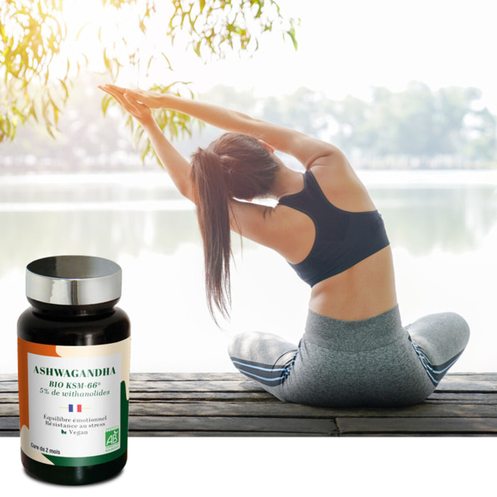 NUTRI EXPERT - ASHWAGANDHA BIO KSM-66 - Complément naturel adaptogène - Anti-Stress, Fatigue, Sommeil & Concentration - Titré en Withanolides - Sans Allergènes - 60 Gélules végétales BIO