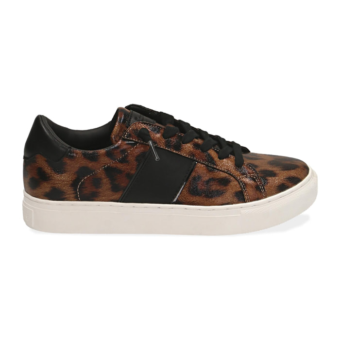 Sneakers leopard