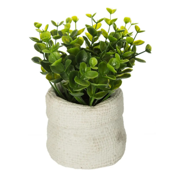 Plante artificielle - pot en ciment - H14 cm