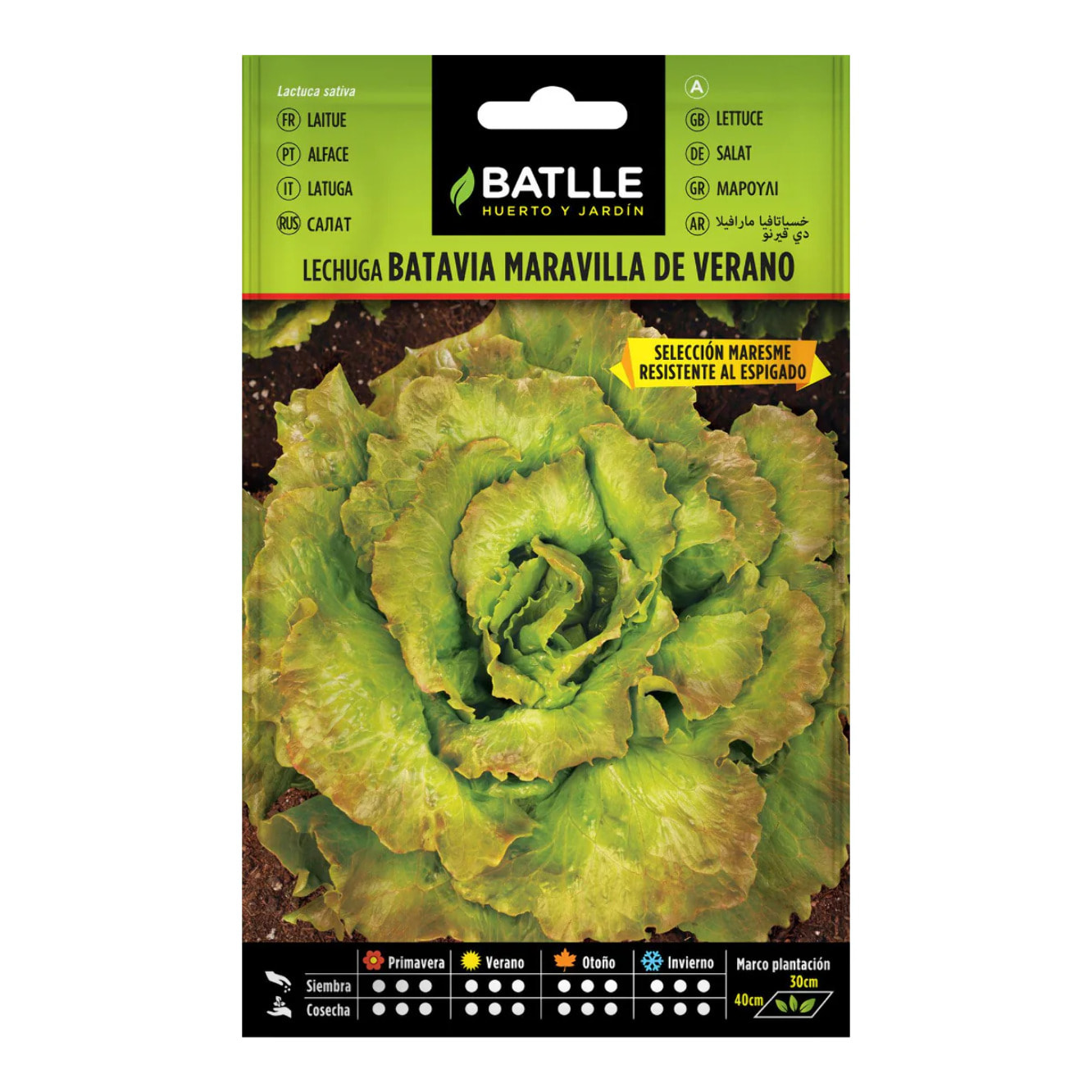 Semillas de Lechuga Maravilla de Verano Batlle