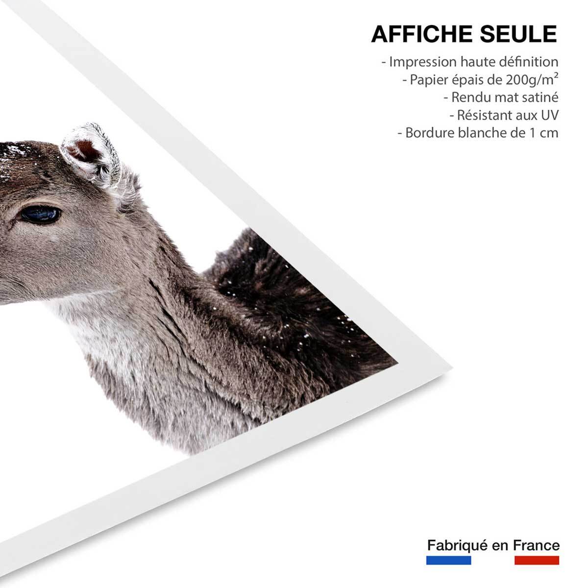 Affiche enfant faon sous la neige  Affiche seule