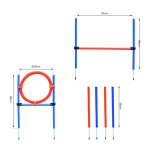 Agility sport pour chiens équipement complet obstacles et entrainement 11 pièces avec sac de transport acier rouge et bleu