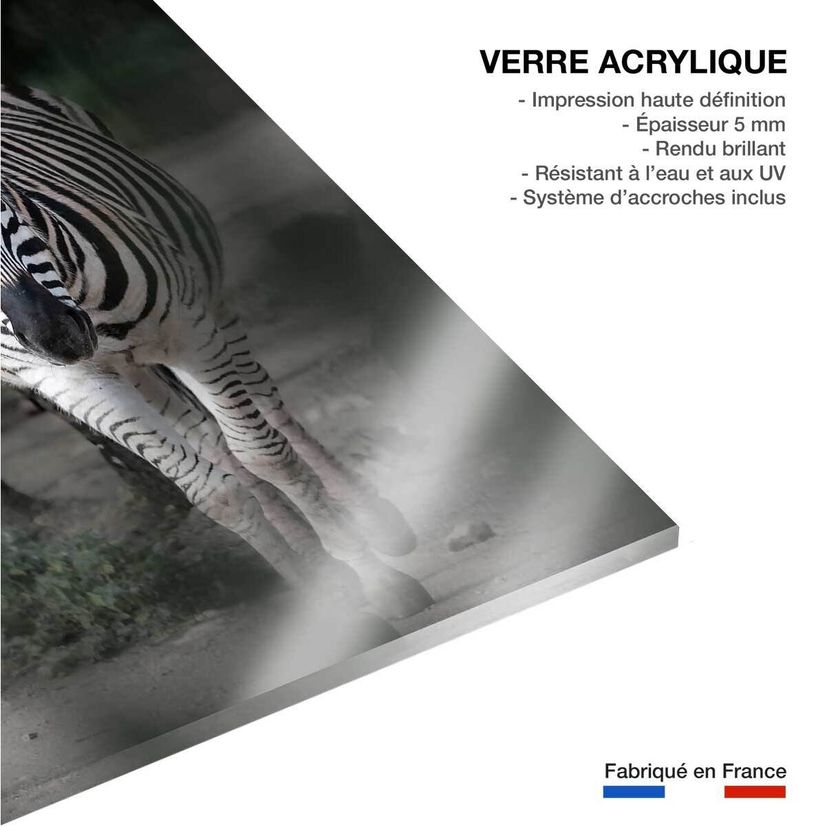 Tableau animaux zèbre en balade Tableau plexiglas