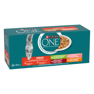 PURINA ONE SPÉCIAL CHAT STÉRILISÉ Effilés en Sauce au Saumon,  au Bœuf, et aux Carottes, à la Dinde, au Poulet et aux Haricots Verts, - Sachets fraîcheur pour chats adultes 85g