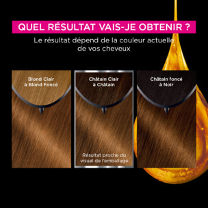 Garnier Olia Coloration 6.3 Miel Doré