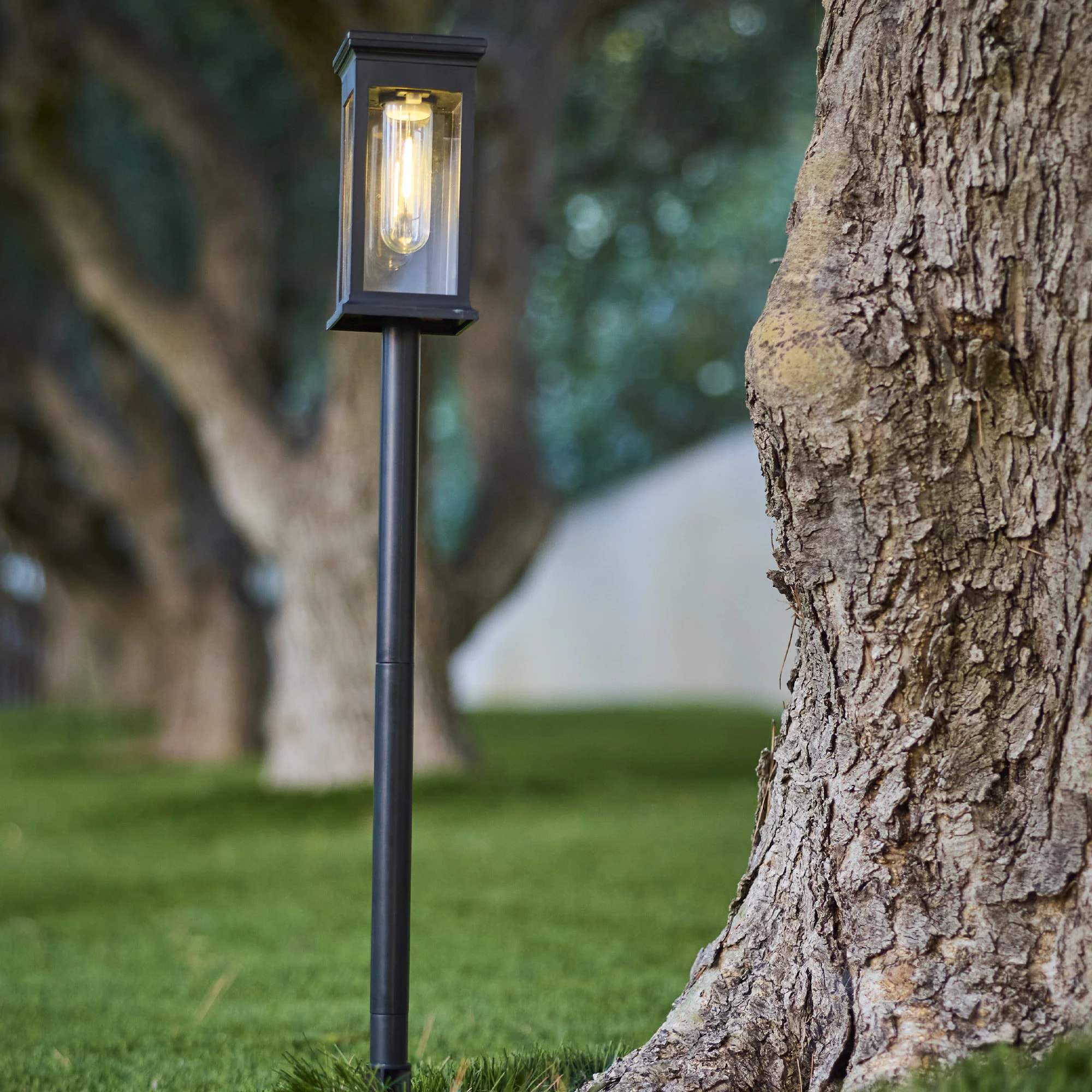 4 Balise solaire à piquer LUZY H34CM