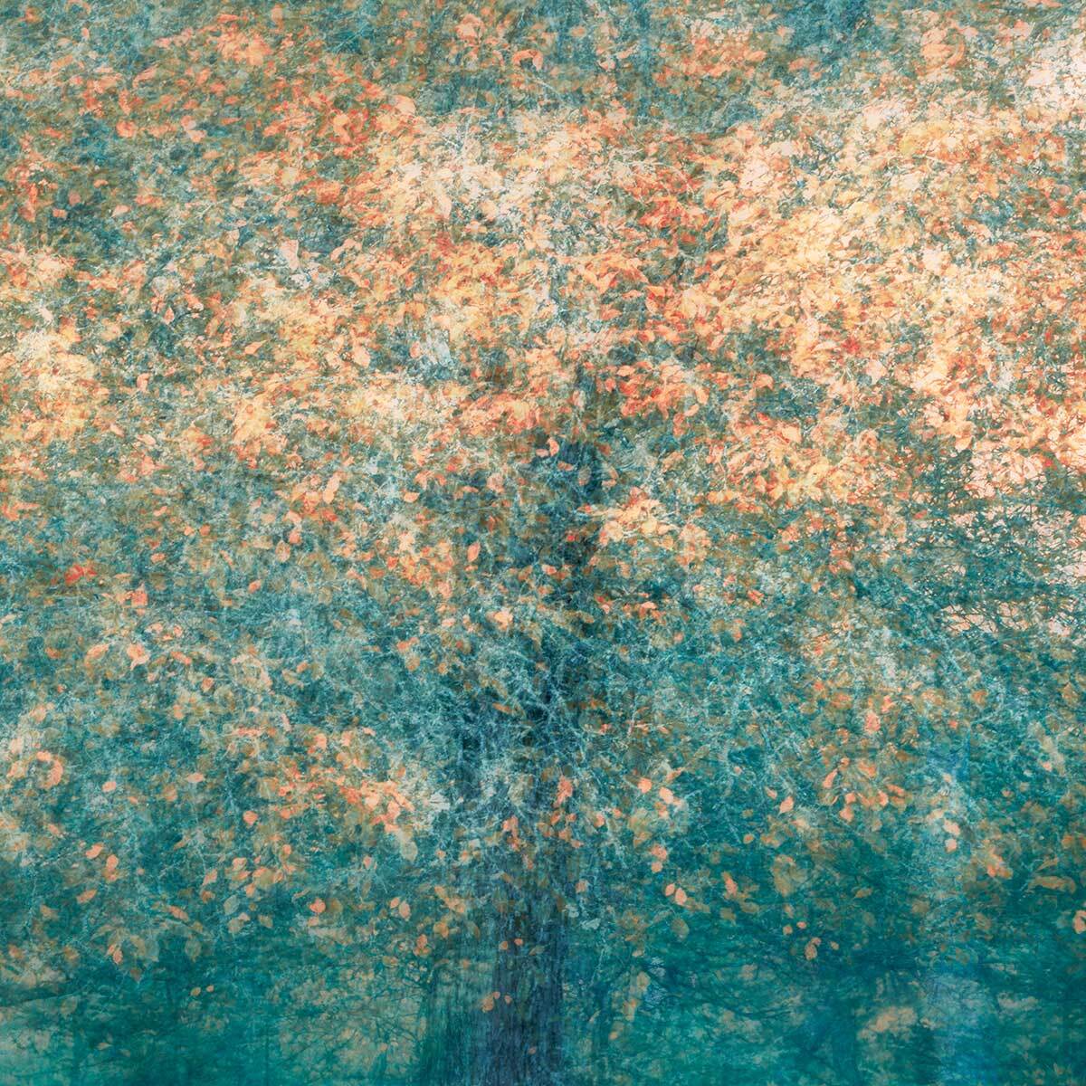 Papier peint panoramique Forêt Bleue Intissé