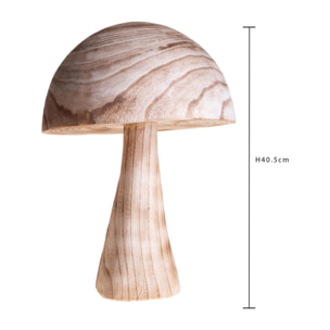 Fungo - Pezzi 1 - 30xH40,5x30cm - Bianchi Dino SpA