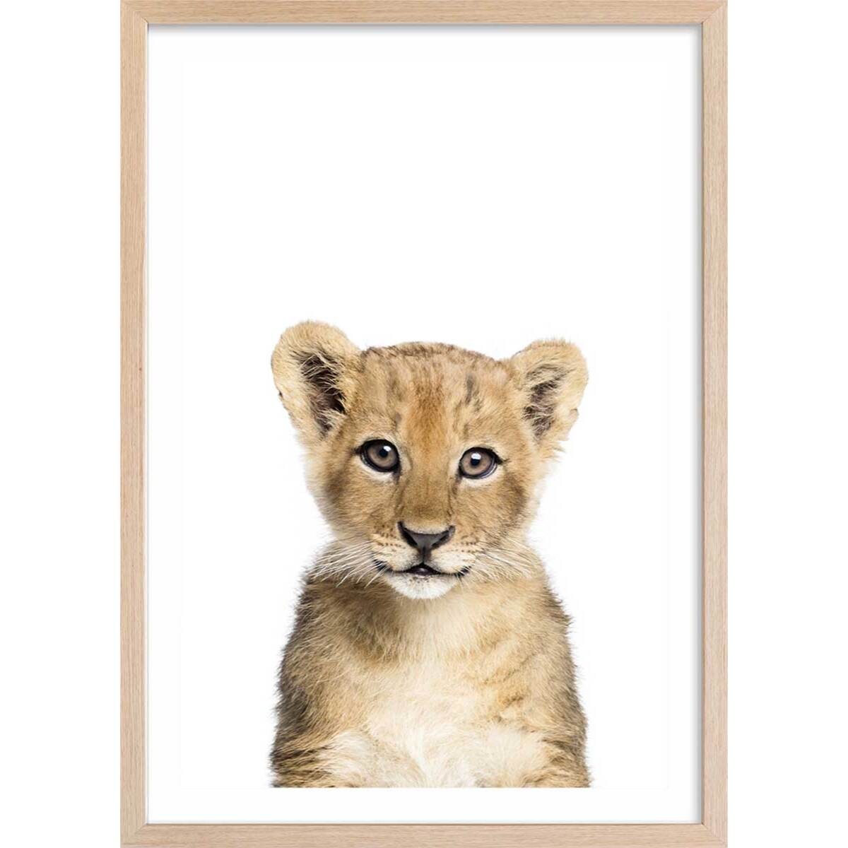 Affiche enfant bébé lionceau  Affiche + cadre en bois - Chêne