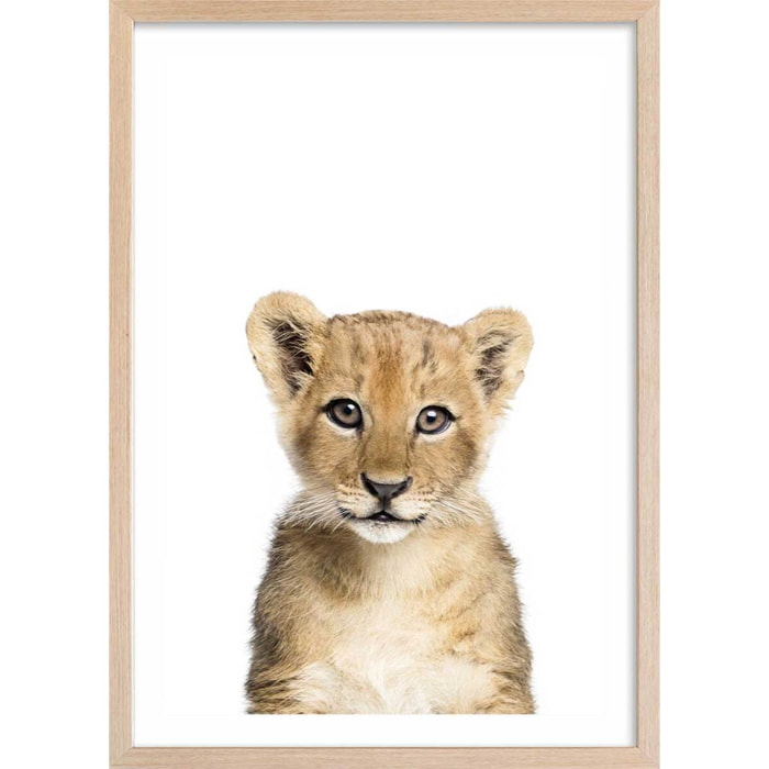 Affiche enfant bébé lionceau  Affiche + cadre en bois - Chêne