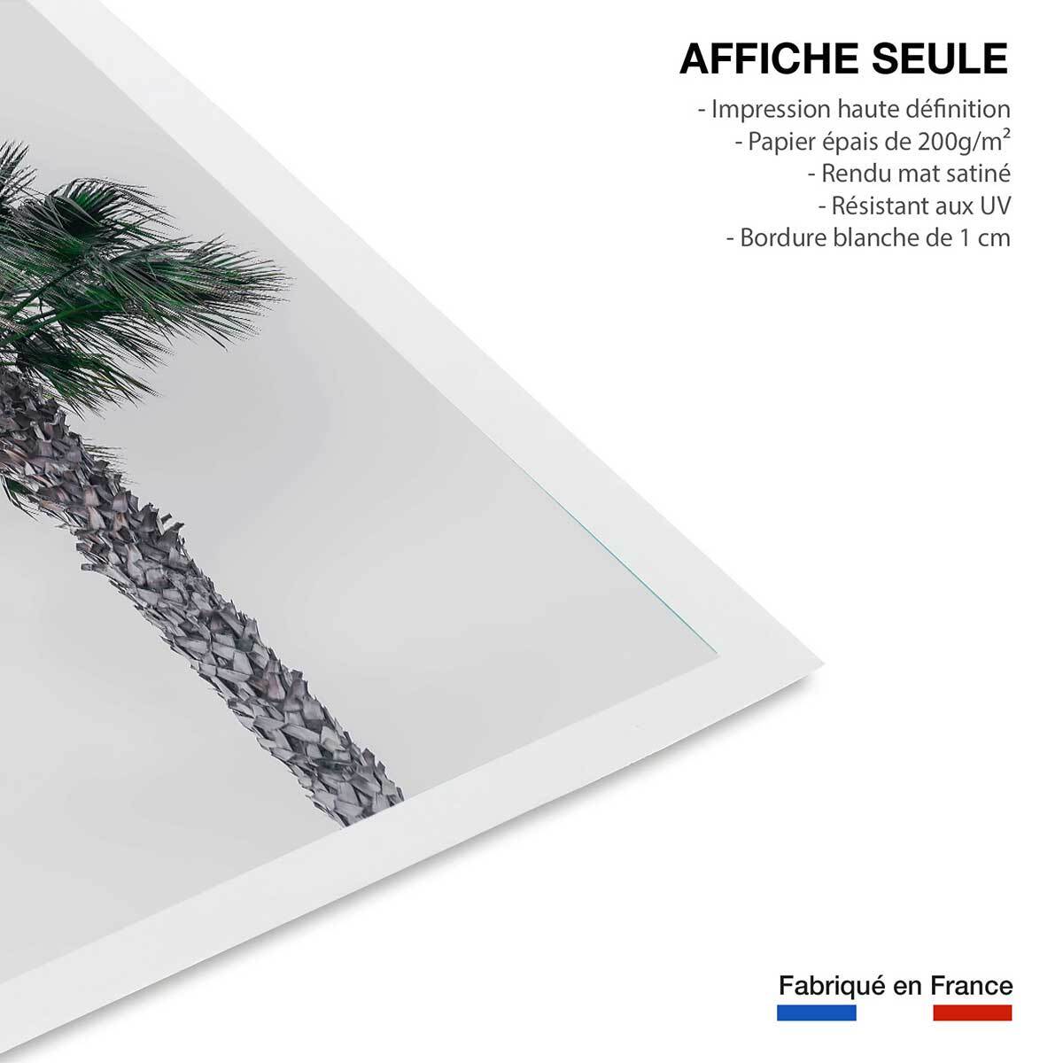 Affiche coconut palm Affiche seule