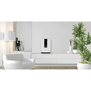 Purificador de aire EVVO P25, Hasta 25m2, Filtro HEPA 13, Multifiltro