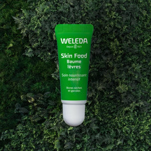 WELEDA -  Lot Skin Food Gel-en-huile nettoyant + Huile sèche sublimatrice + Baume lèvres