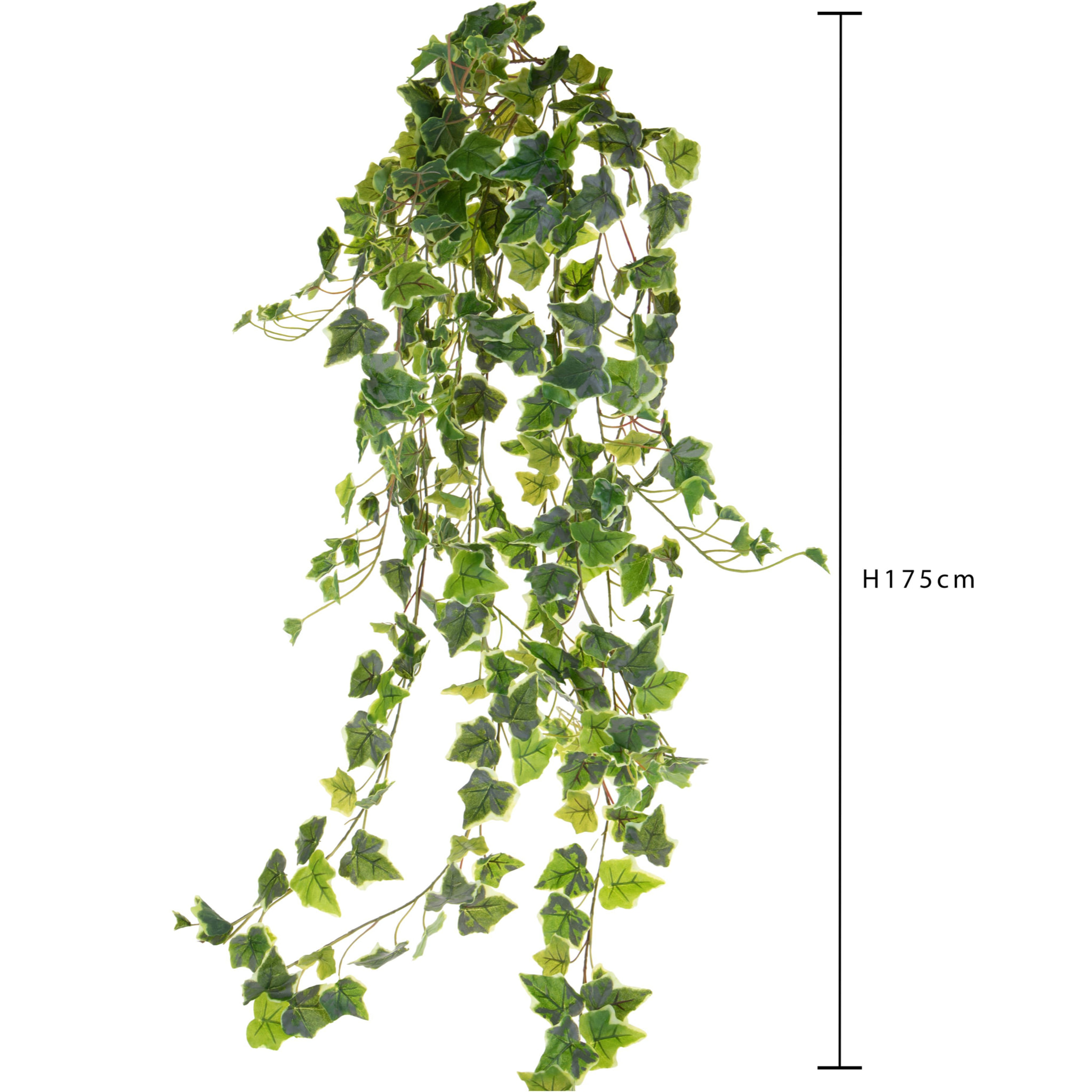 Edera Rampicante Real Touch 175 Cm - Pezzi 1 - 40X175X40cm - Colore: Verde - Bianchi Dino - Piante Artificiali