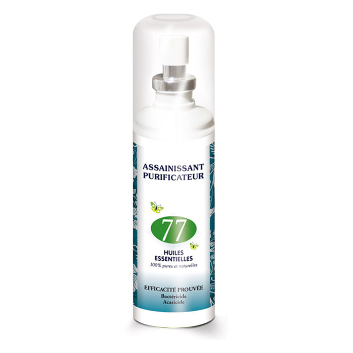 NUTRI EXPERT - BRUM'AROMA - Spray Assainissant aux 77 Huiles Essentielles - 100% Pures & Naturelles - Assainit et Purifie l'air - Aérosol de 125ml