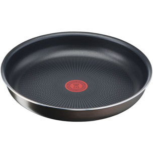 Batterie de cuisine TEFAL Ingenio Easy Plus lot 2 poeles L1509202