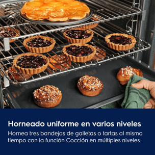 Electrolux Horno multifunción Serie 500 SurroundCook con limpieza pirolítica EBF4P46X