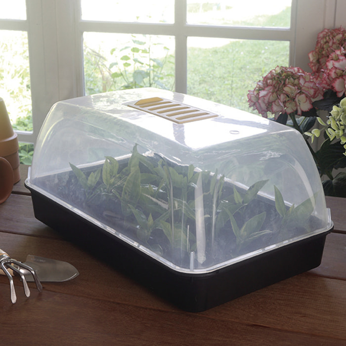 Mini Invernadero Para Semillas Rapid Grow 38x14x19 Cm