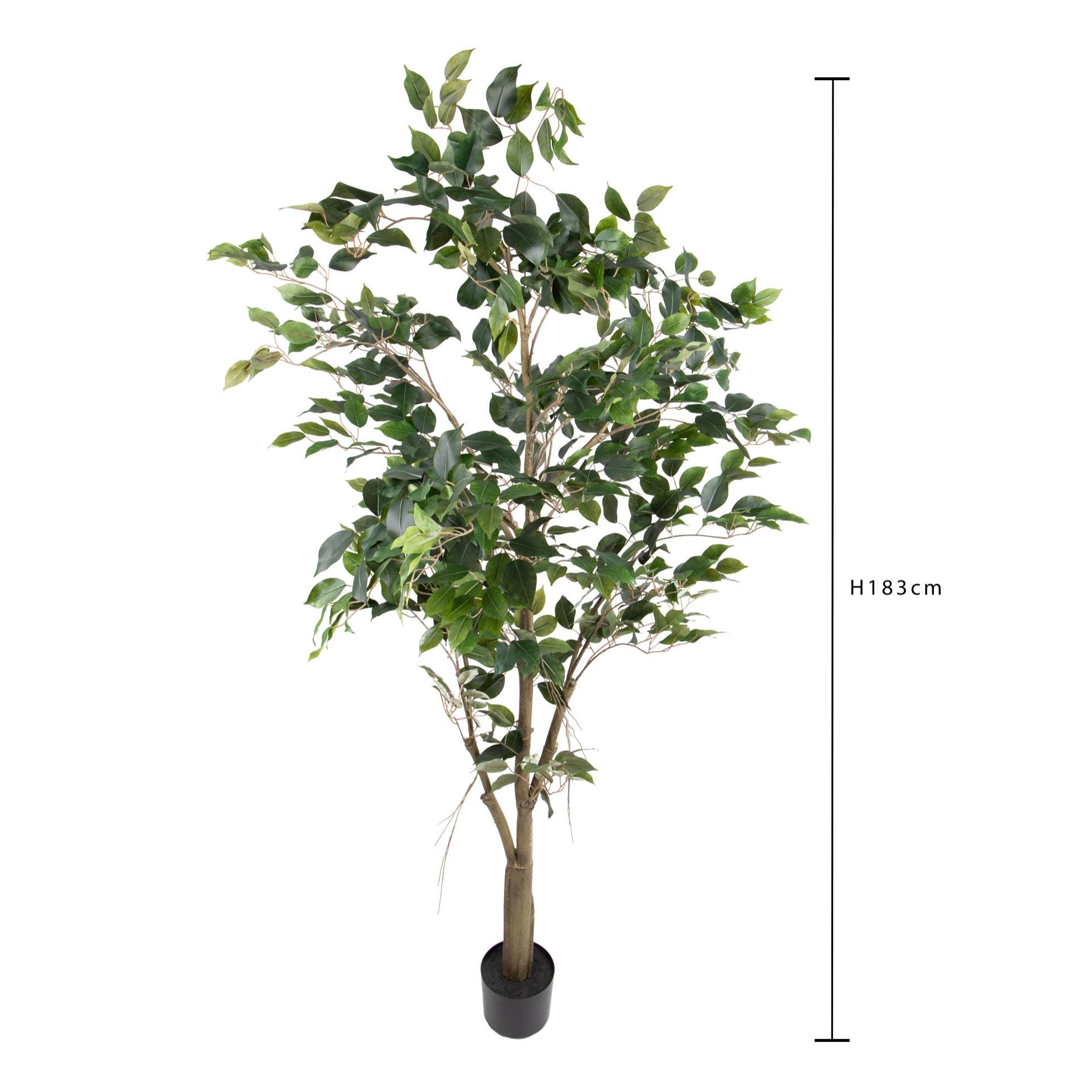 Ficus con Vaso H.183 Cm - Pezzi 1 - 183X61X61cm - Colore: Verde - Bianchi Dino - Piante Artificiali