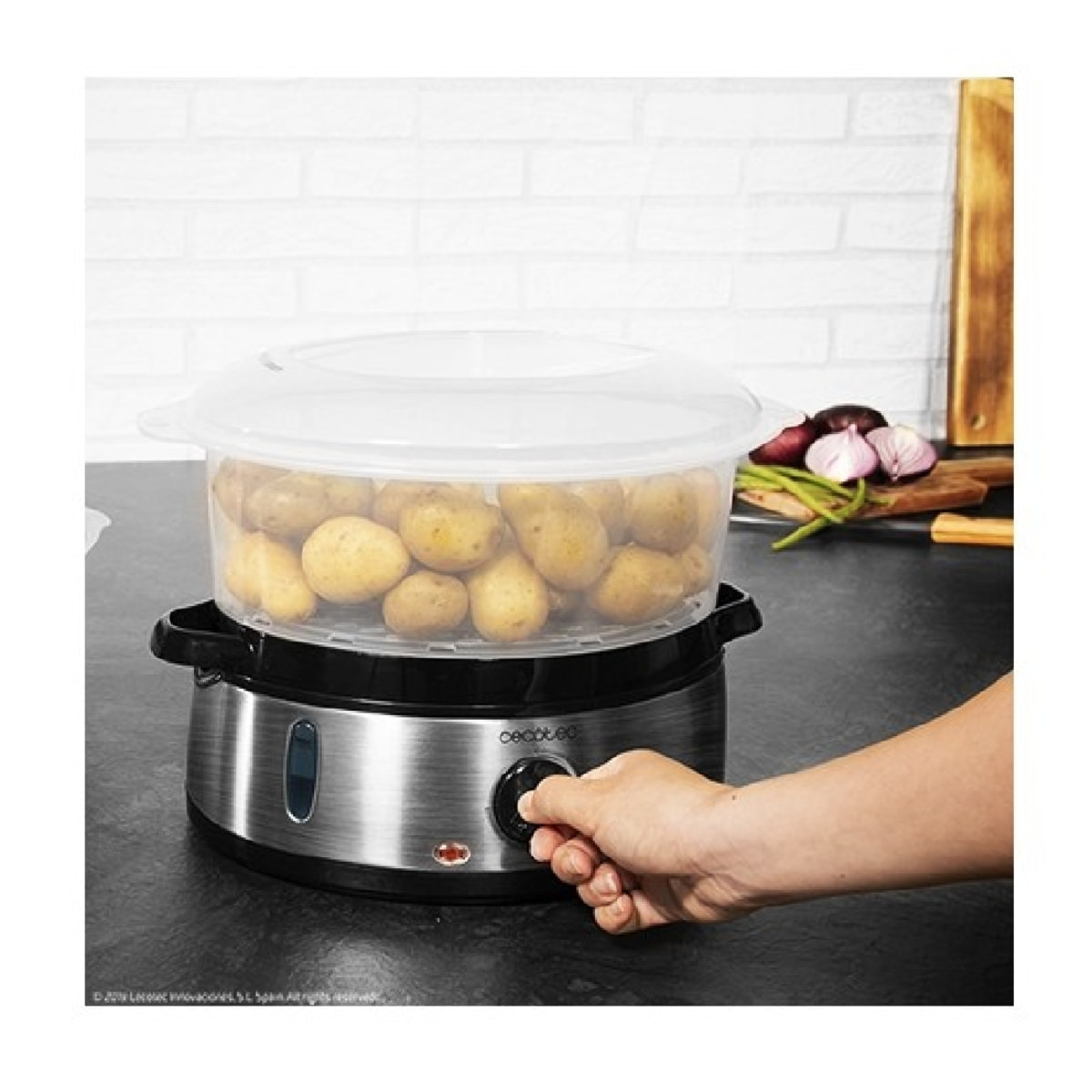 Cecotec Cuit-vapeur Vapovita 3000 Inox