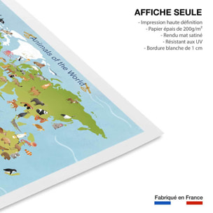 Affiche enfant animaux du monde  Affiche seule