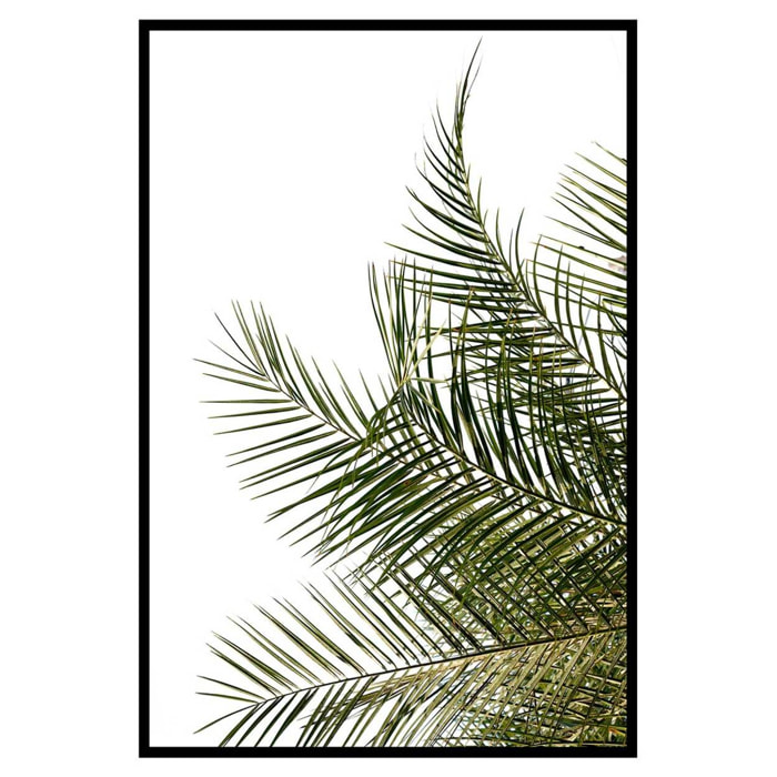 Affiche encadrée feuille de palmier minimaliste fond blanc Affiche + cadre en métal - Noir