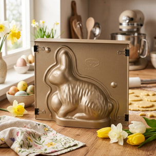 Moule à gâteaux 3D en forme de lapin de Pâques 600 ml Dr.Oetker