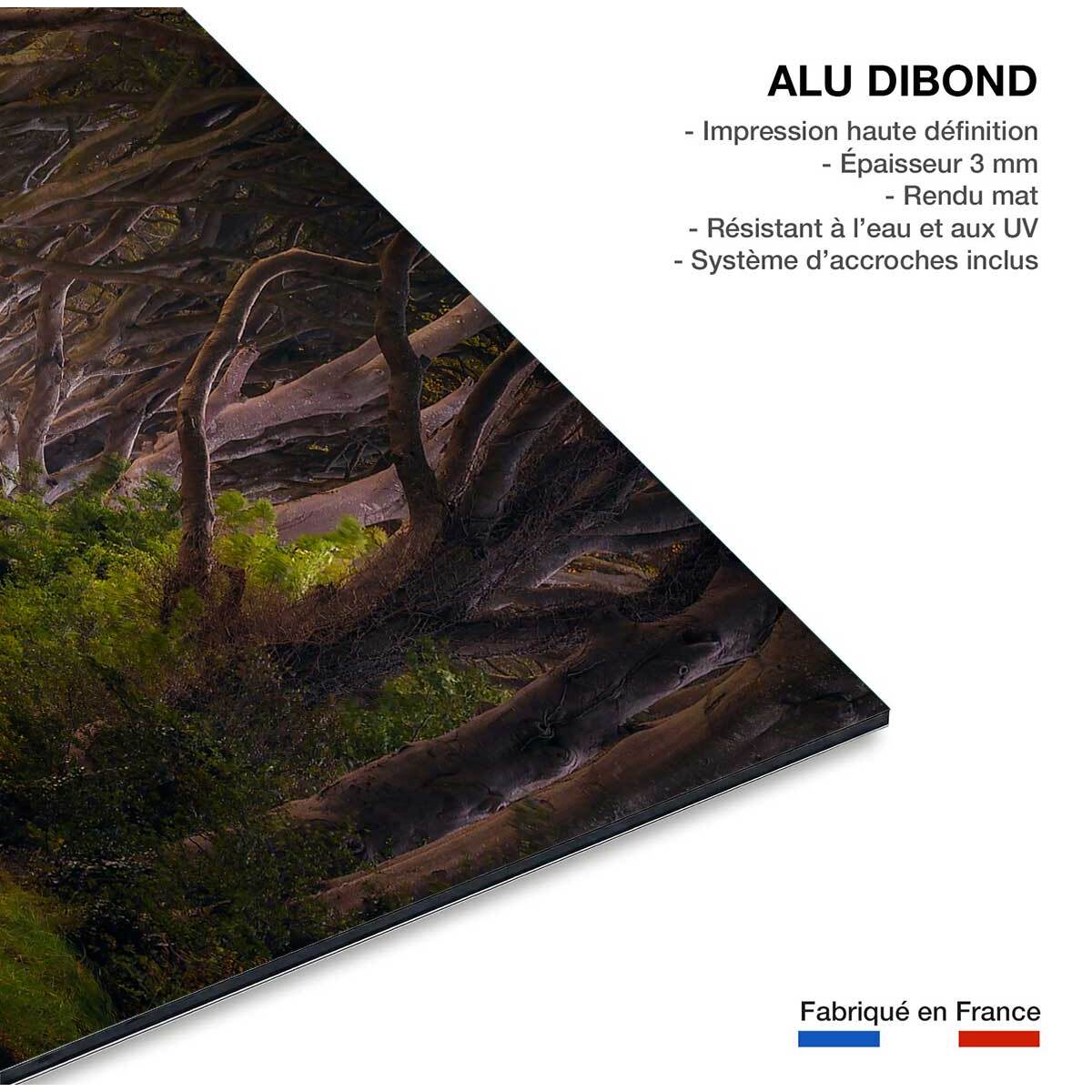 Tableau nature arbres enchanteurs Tableau alu Dibond