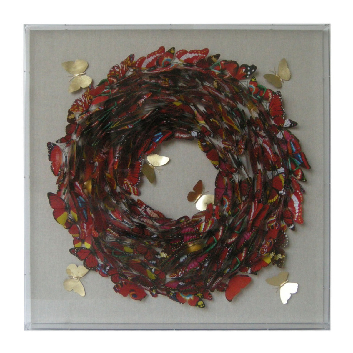 Quadro in carta farfalle 3D Schmetterling 80x80 cm Vikasa Home