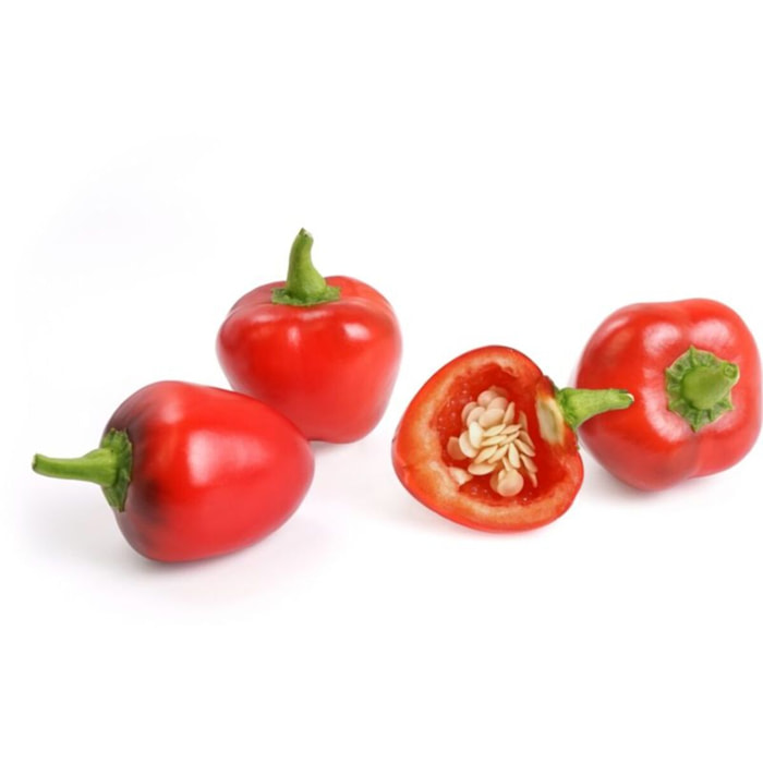 Recharge jardin d'intérieur VERITABLE Mini Poivrons