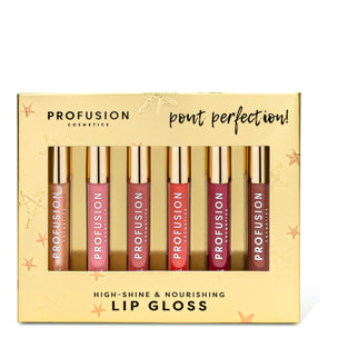 Pout Perfection! - Coffret 6 Gloss à Lèvres