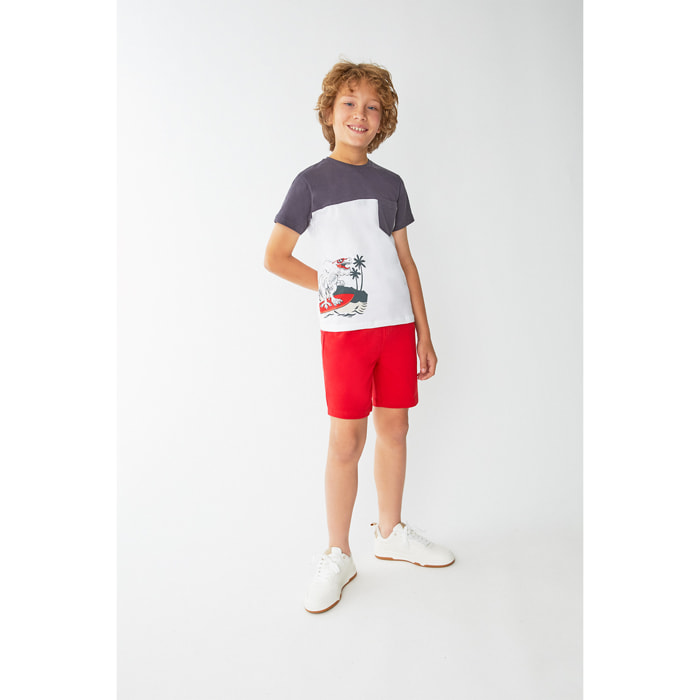 Conjunto Niño Verano Camiseta Color Gris Marengo y Blanco con Estampado Dino Surf y Pantalón Corto Rojo de Algodón Orgánico | Color: Gris marengo | Street Monkey