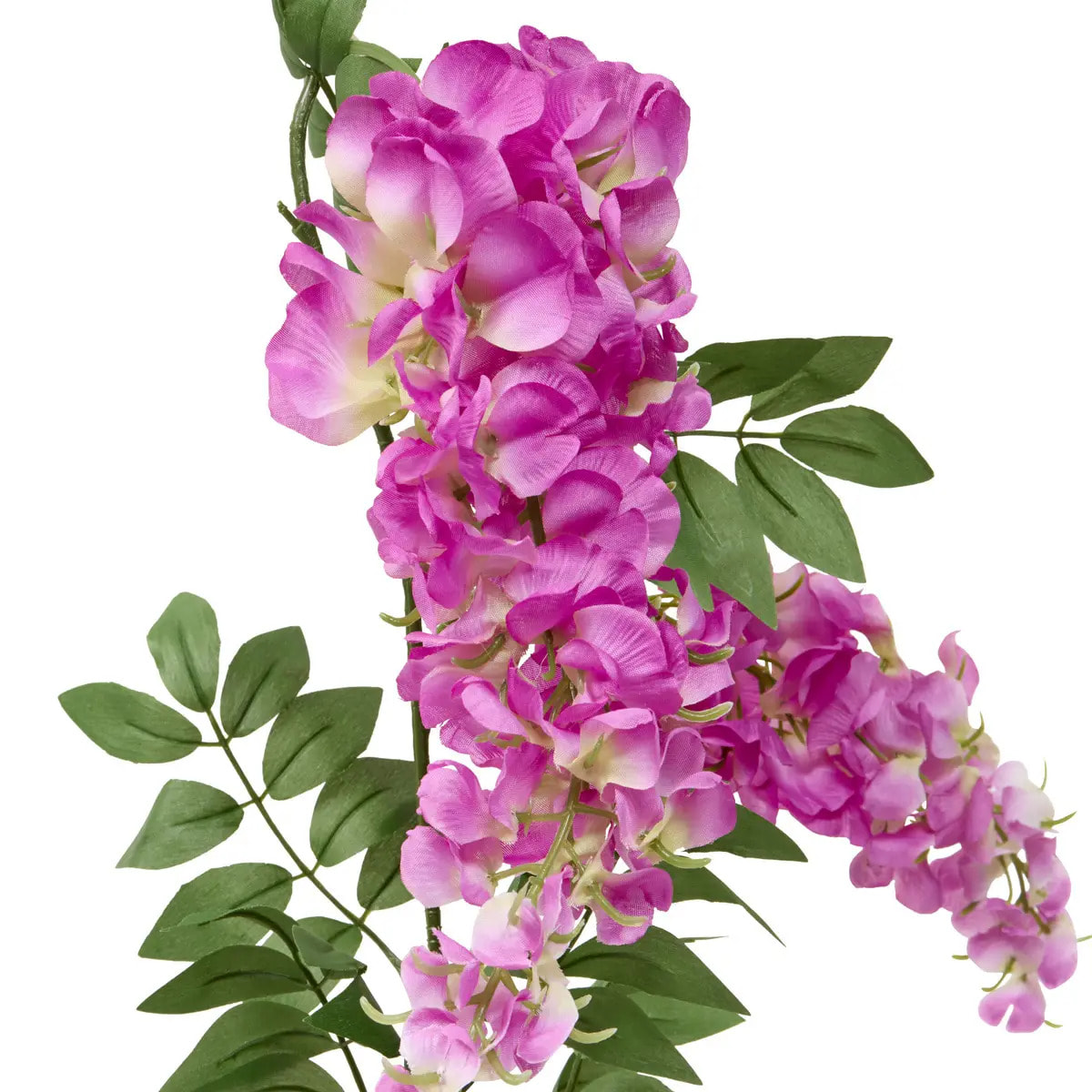 Guirlande Glycine Artificielle Phoebe L20xP10xH178 cm
