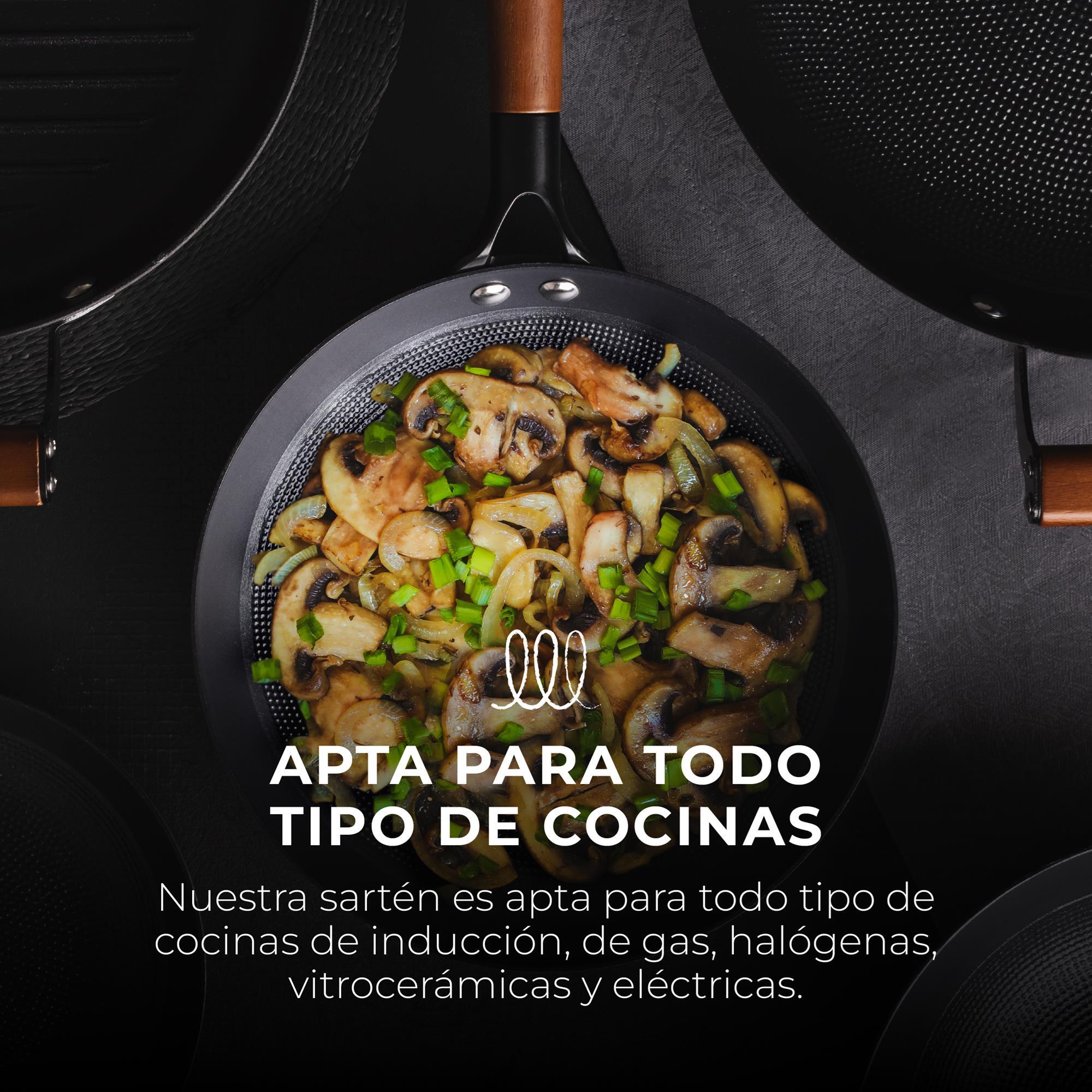 MasterPRO Sartén Ø24x4,5cm en hierro prensado con recubrimiento cerámico color Negro