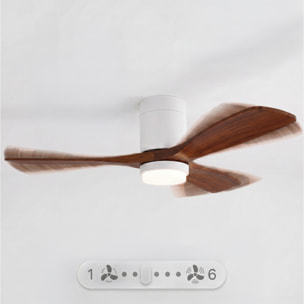 Ventilador de techo FLOW26 con luz LED y mando a distancia
