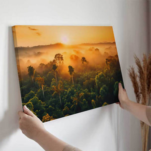 Tableau jungle au lever du soleil Toile imprimée