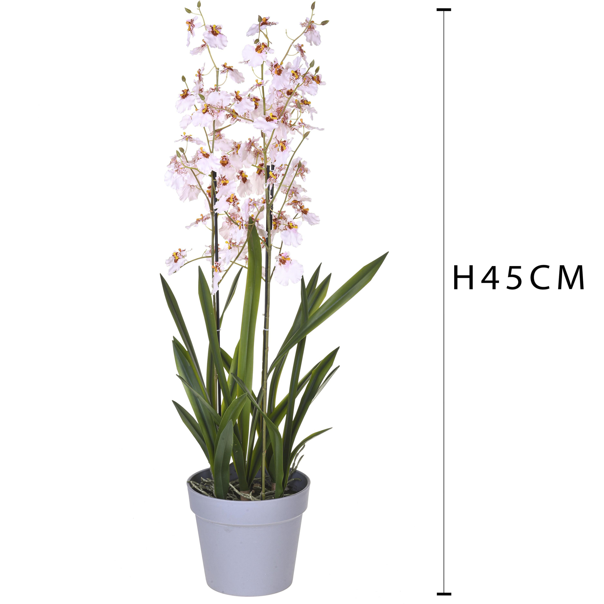 Orchidea Oncidium A 3 Diramazioni Con Vaso. Altezza 45 Cm - Pezzi 1 - 26X45X25cm - Colore: Rosa - Bianchi Dino - Piante Artificiali