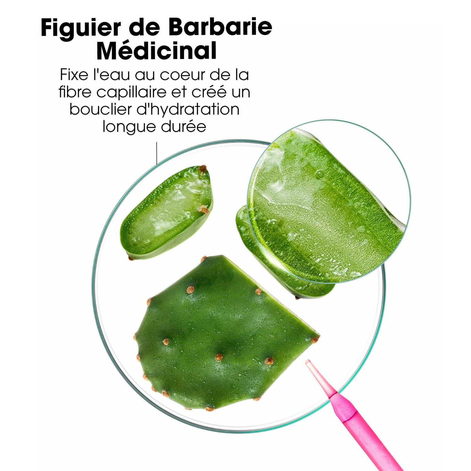 Figuier de Barbarie - Après-Shampooing Désaltérant 200 ml