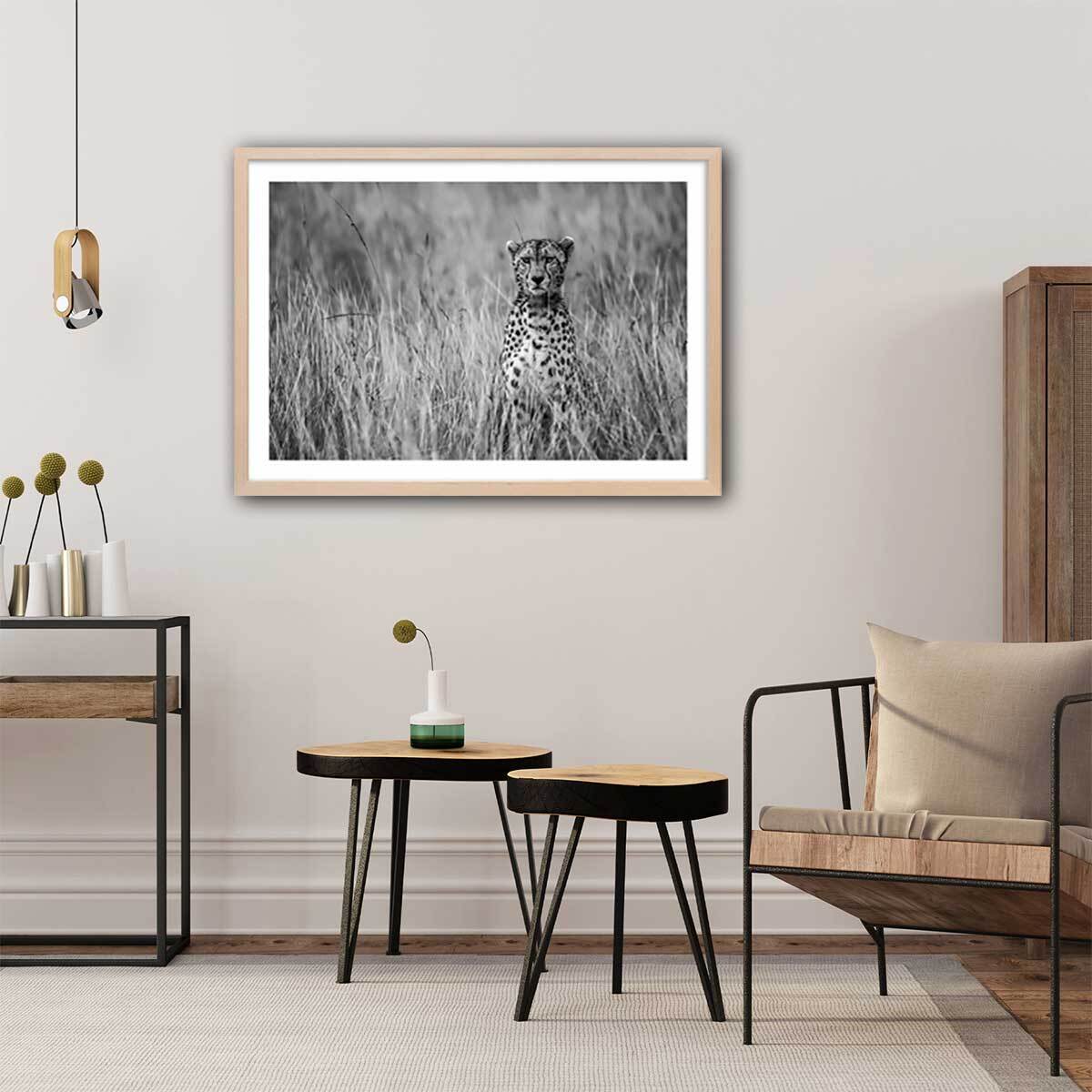 Affiche animaux Cheetah Affiche + cadre en bois - Chêne