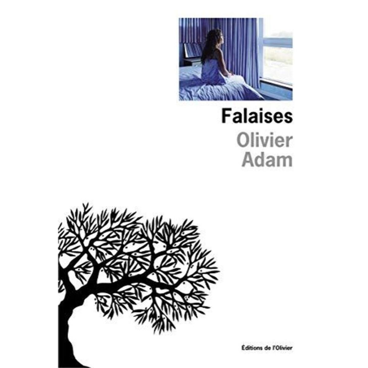 Adam, Olivier | Falaises | Livre d'occasion