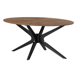 Table à manger design ovale noyer L160 cm DIELLI