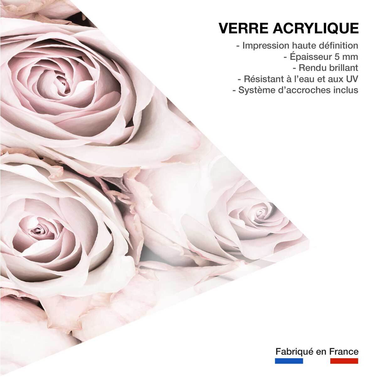 Tableau rosa alba Tableau plexiglas