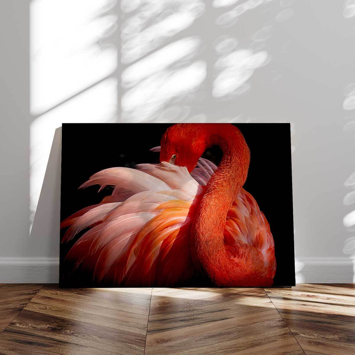 Tableau sur toile Peigne Tableau alu Dibond