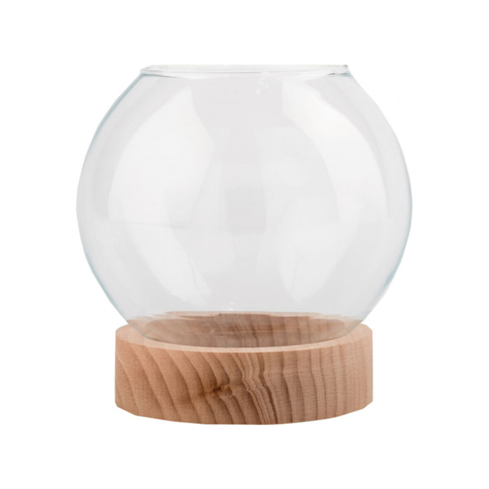 Terrarium en verre et socle en bois - transparent D14cm - MANHATTAN 645