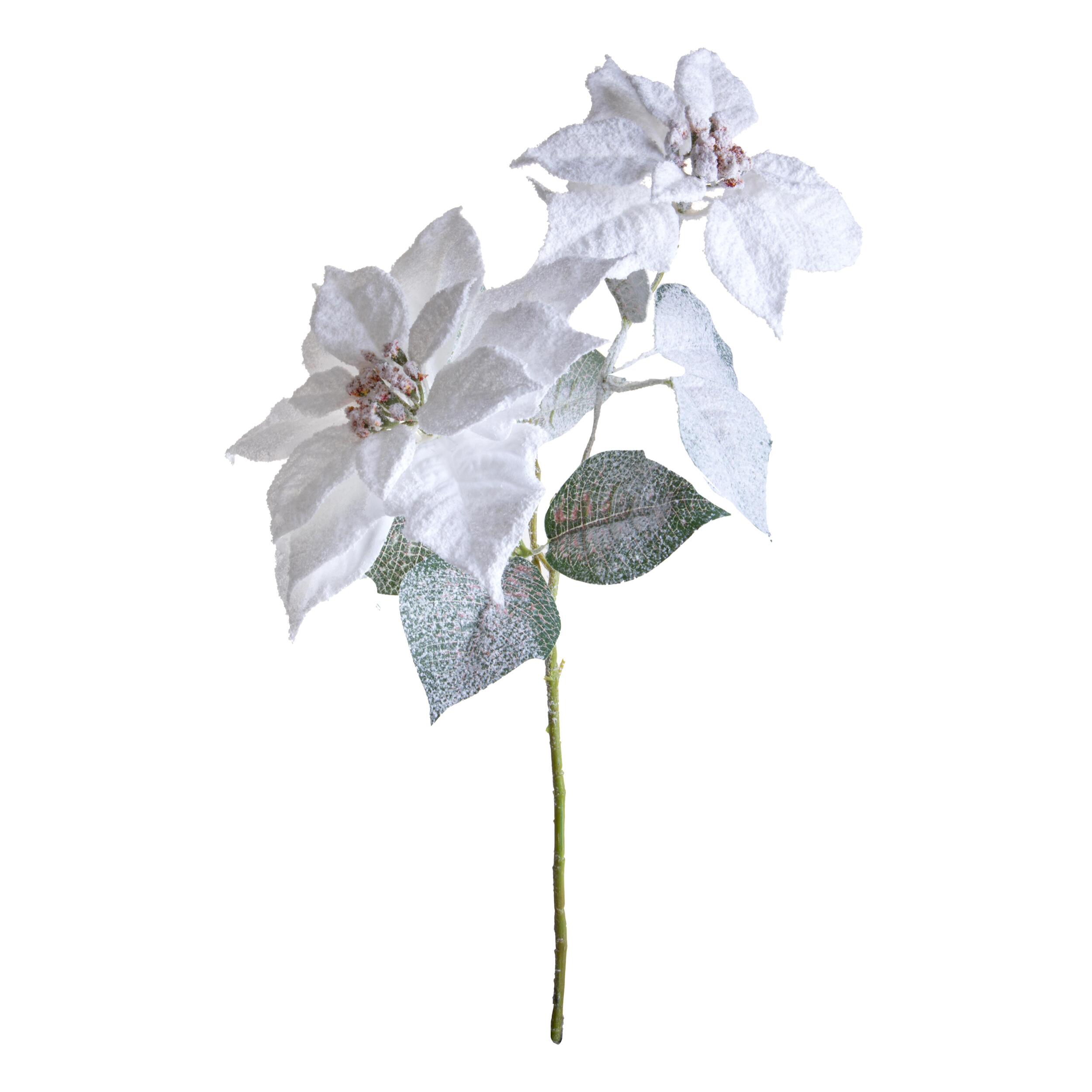 Stella natale - Pezzi 12 - 12xH55x12cm - Bianchi Dino SpA