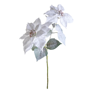 Stella natale - Pezzi 12 - 12xH55x12cm - Bianchi Dino SpA