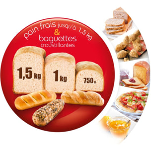 Machine à pain MOULINEX pains du monde OW611810